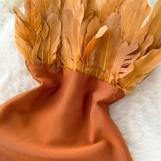 Vera Strapless Feather Detail Dress