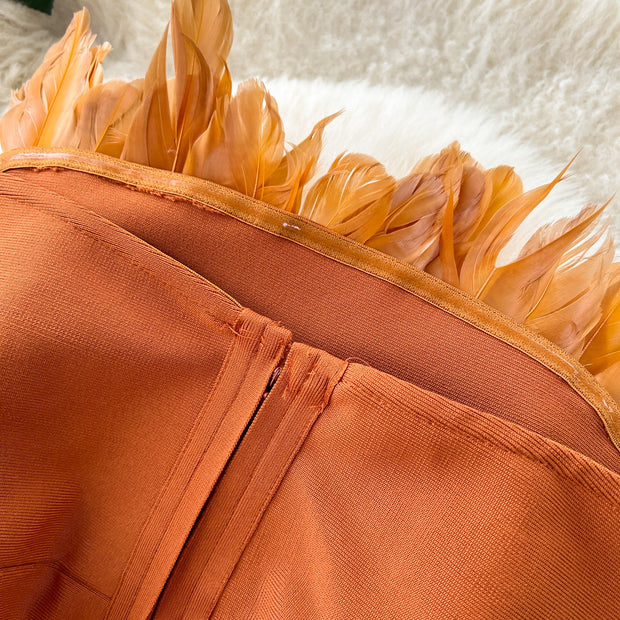 Vera Strapless Feather Detail Dress