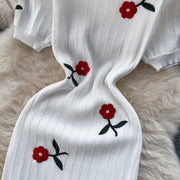 Eva Embroidered Knit Dress